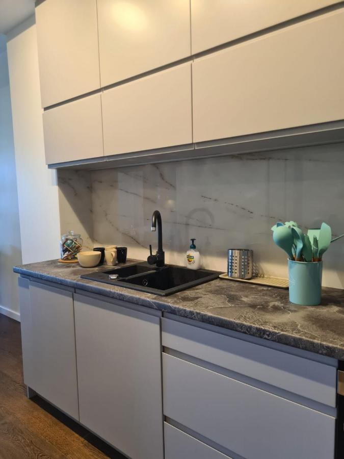 Venice Villa Apartment, Self Check-In 24H, Free Parking ポズナン エクステリア 写真